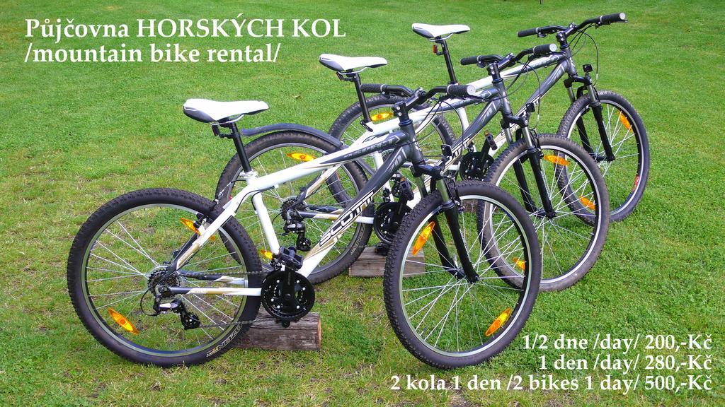 Penzion Fousek Zvíkovské Podhradí Esterno foto